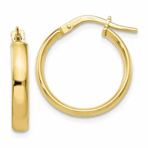 10k Yellow Gold Polished Hoop Earrings