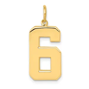14k Yellow Gold Polished Finish Large Size Number 6 Charm Pendant