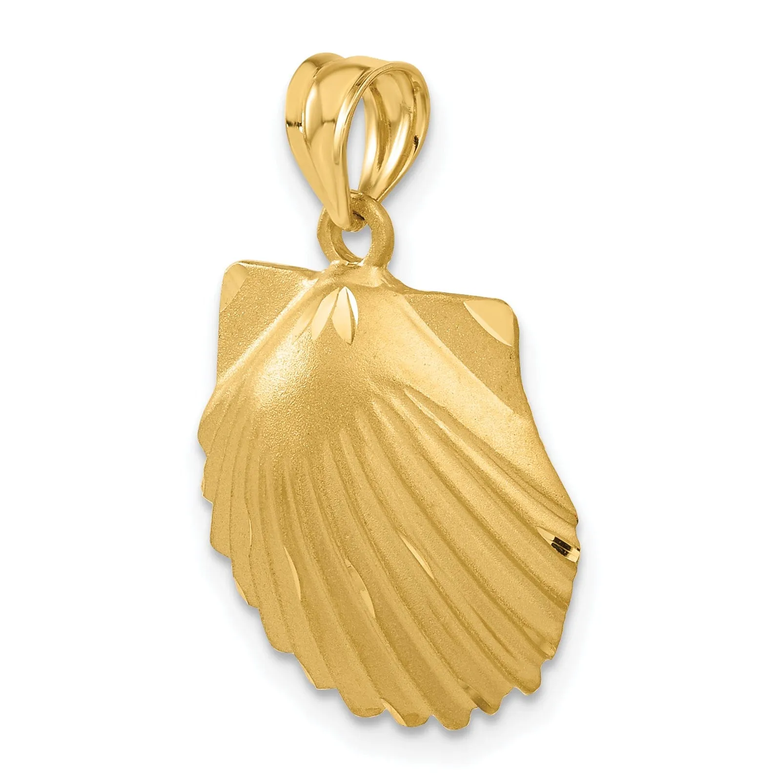 14k Yellow Gold Solid Polished Brushed Finish Seashell Charm Pendant