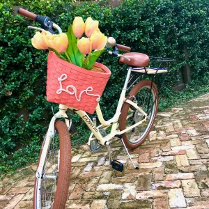 Bike Basket - LOVE