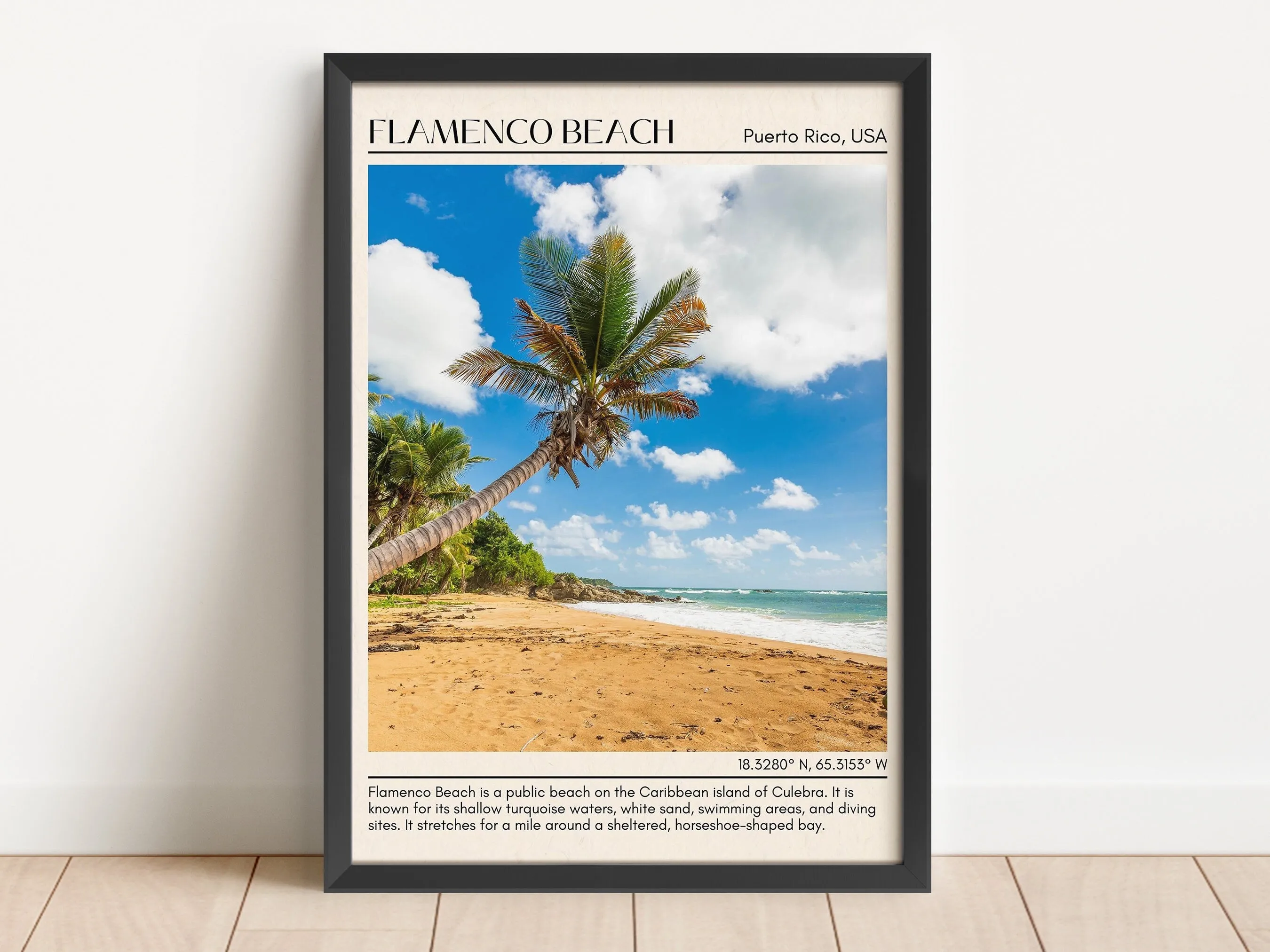 Flamenco Beach Wall Canvas, USA