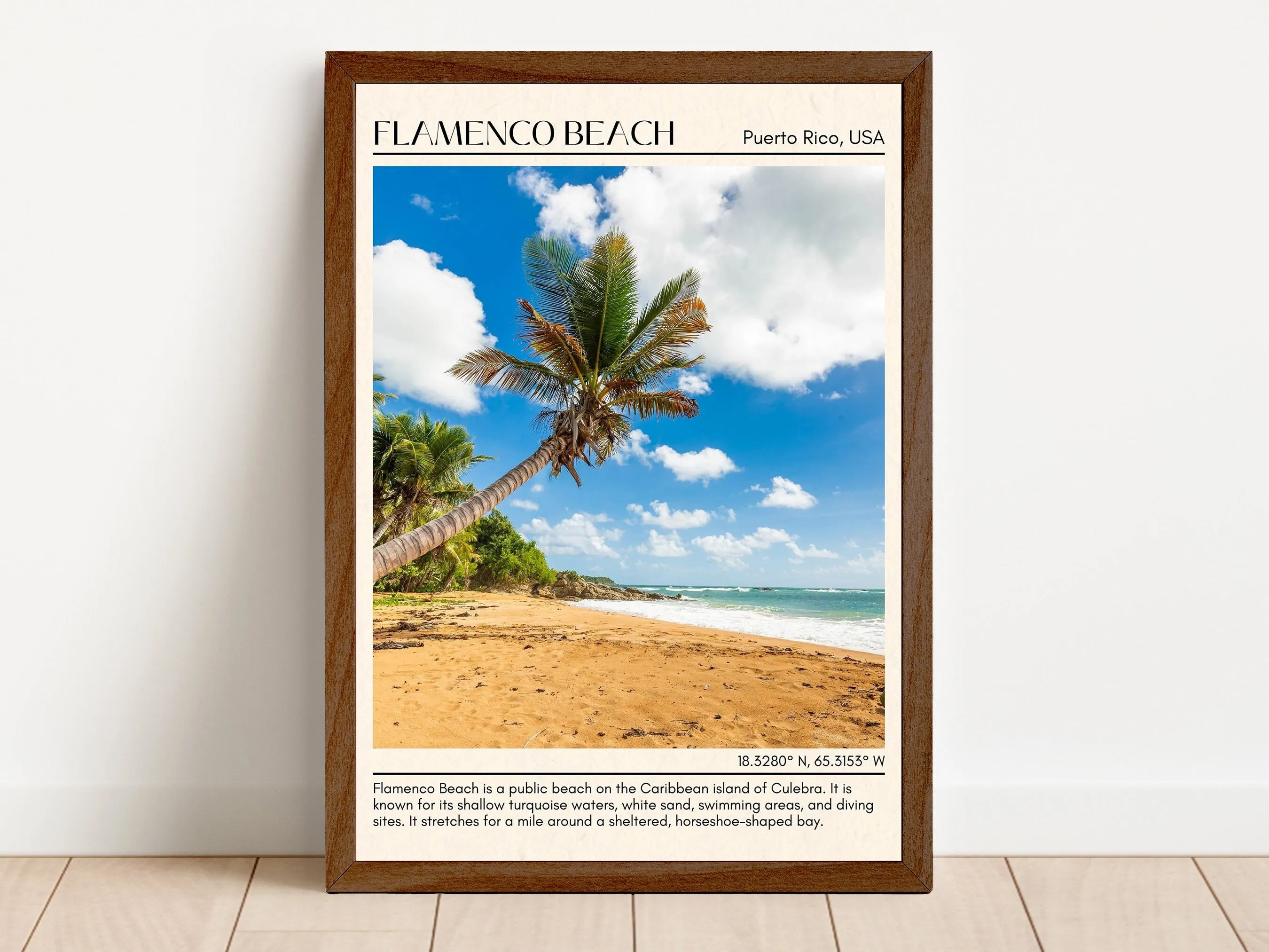 Flamenco Beach Wall Canvas, USA
