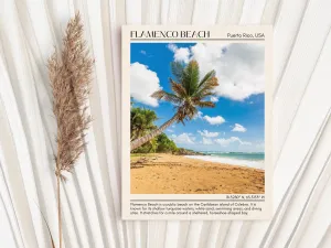 Flamenco Beach Wall Canvas, USA