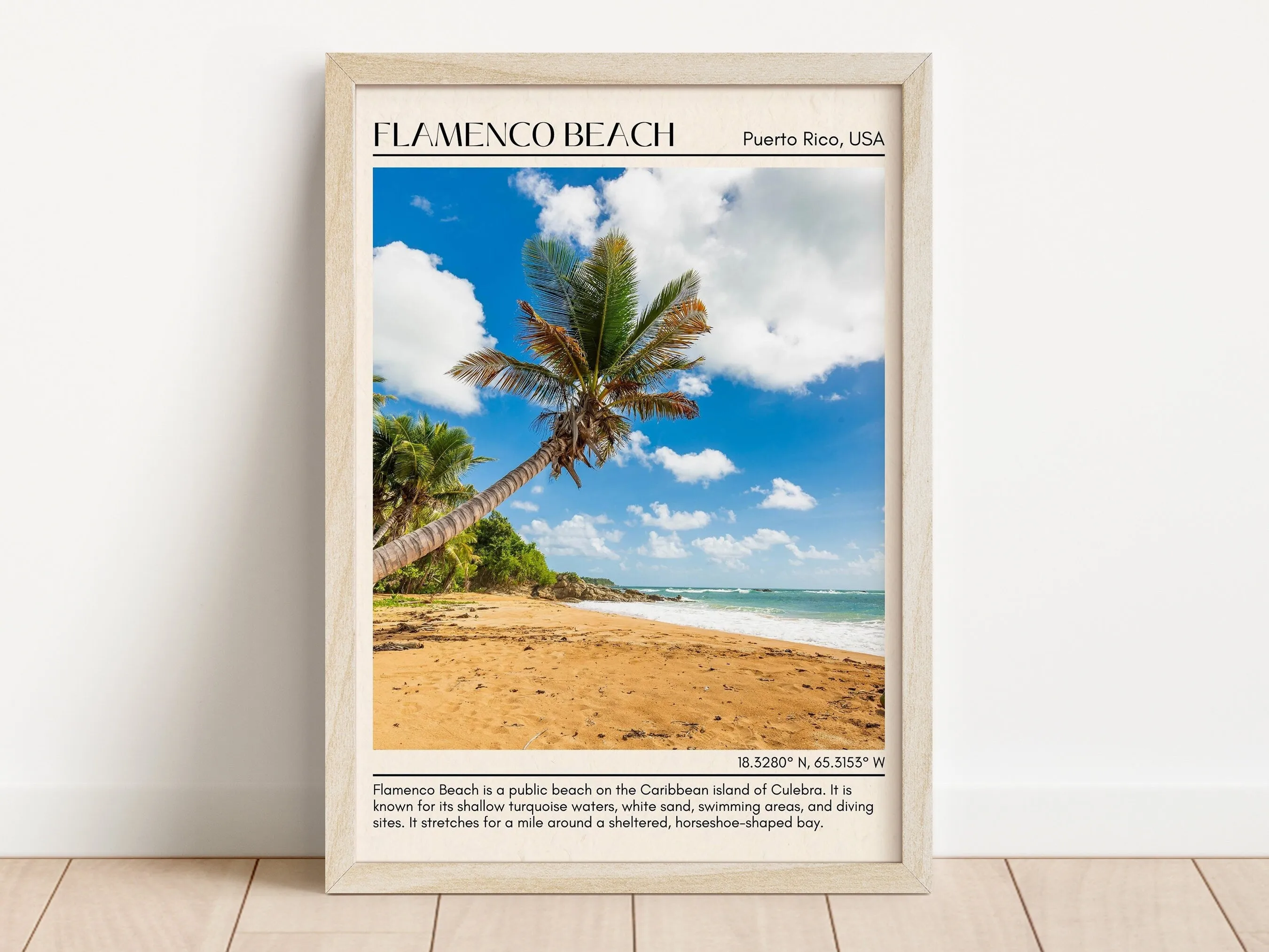 Flamenco Beach Wall Canvas, USA