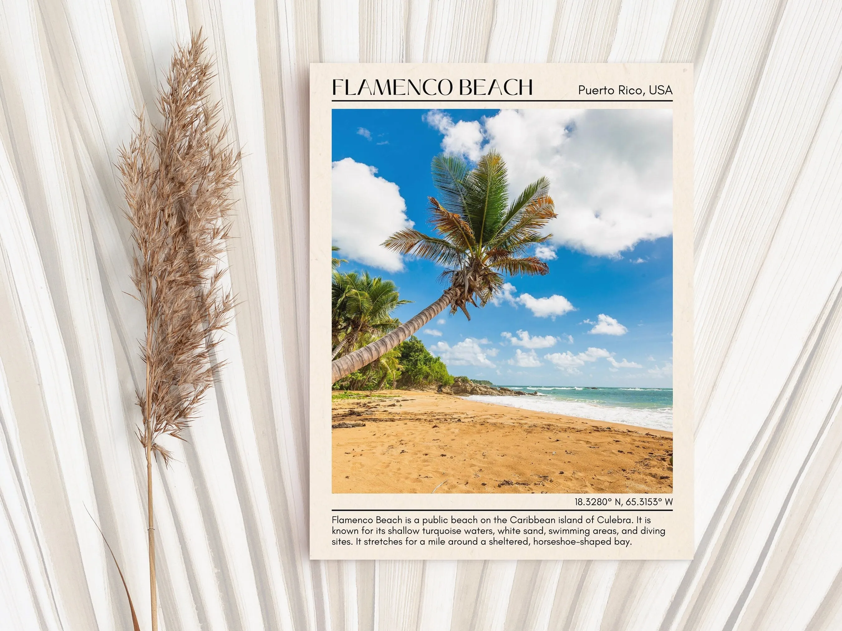 Flamenco Beach Wall Canvas, USA