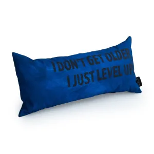 Gaming Cushion - I Don't Get Older, I Just Level Up!