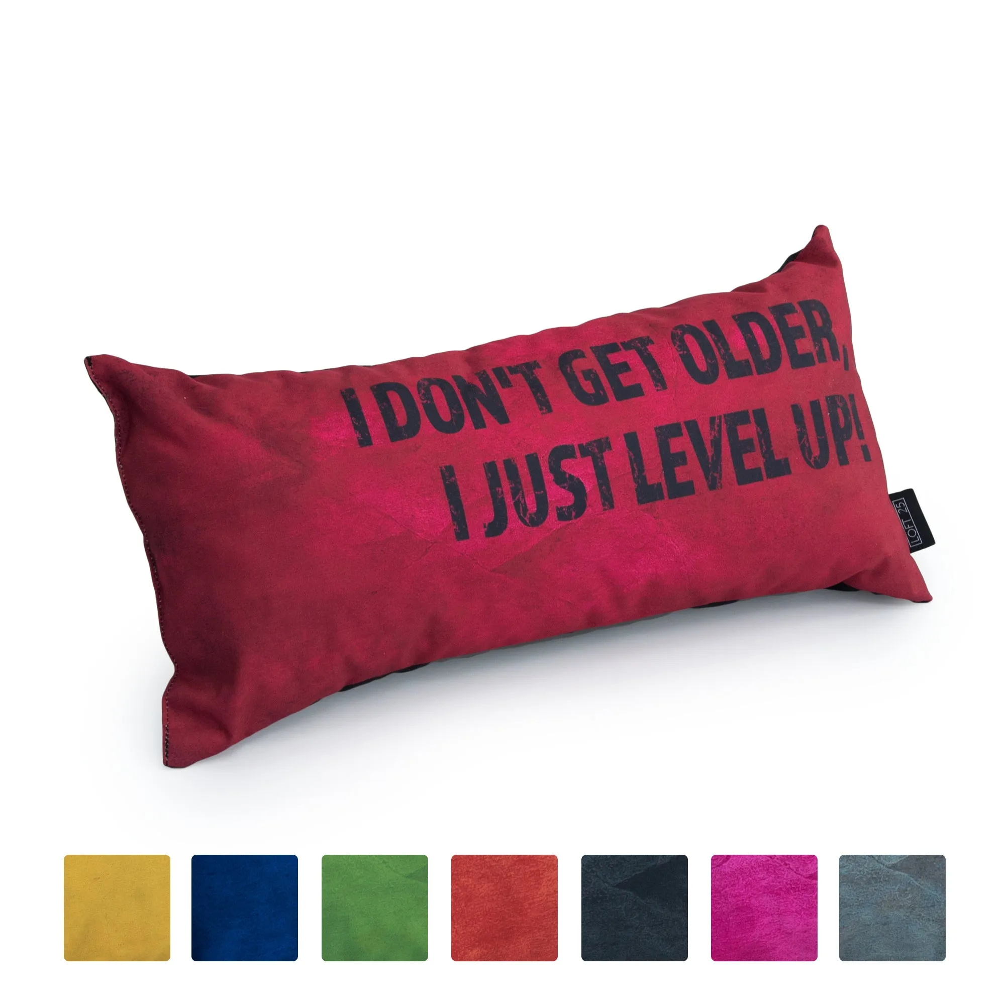 Gaming Cushion - I Don't Get Older, I Just Level Up!