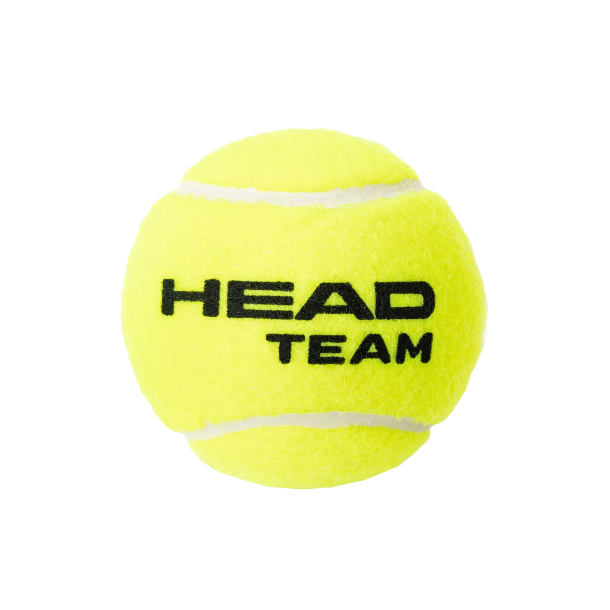 Head Team