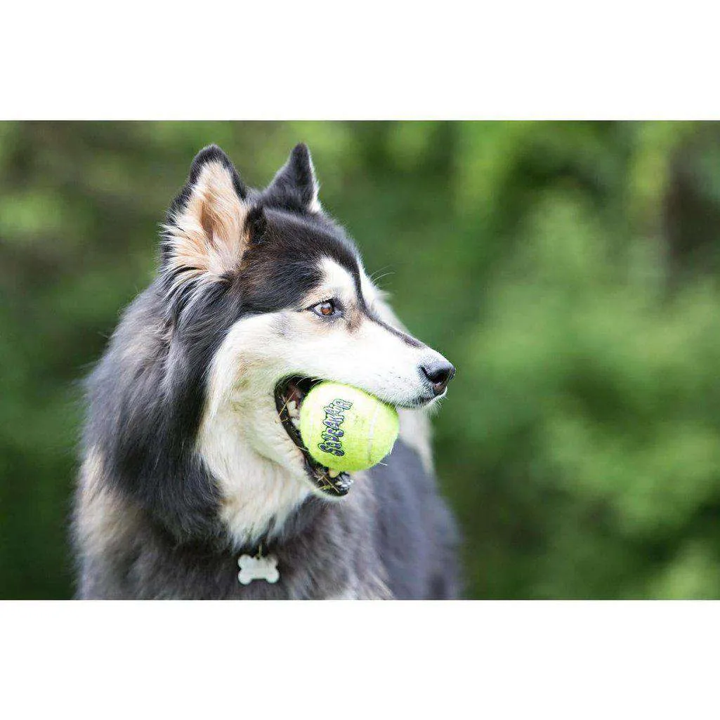 KONG Air Dog Squeakers Tennis Balls