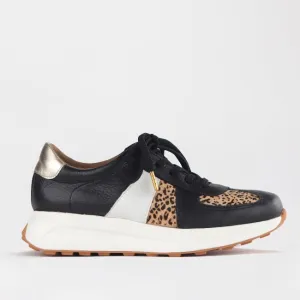 Lace-up Sneaker in Black Multi -12688