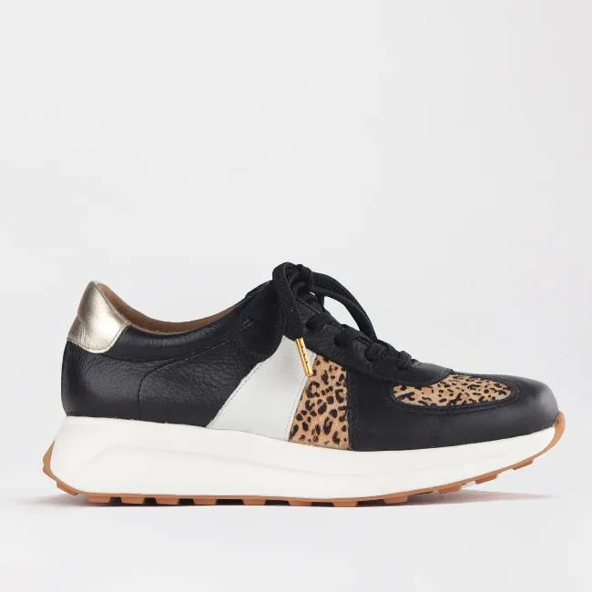 Lace-up Sneaker in Black Multi -12688