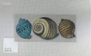 Melissa Shirley 2142-A 3 Shells - Blue Spots