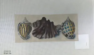 Melissa Shirley 2142-B Blue Stripes - Shells