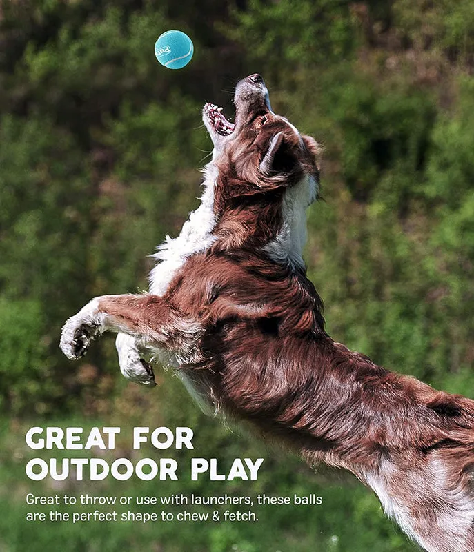 Outward Hound Squeaker Ballz Medium Single 2.5 inch