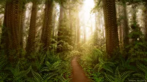 Sanctuary Revisited - Paper Prints