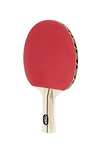 STIGA Performance 2-Player Table Tennis Set