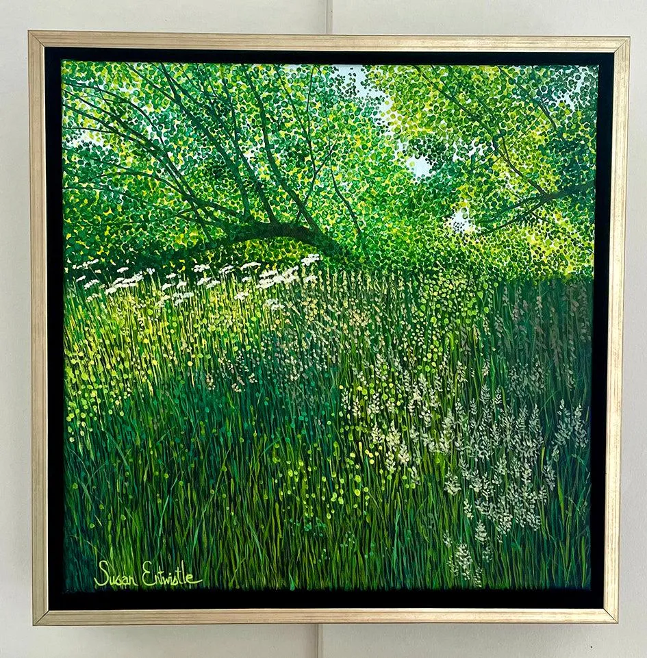 Summer Meadow