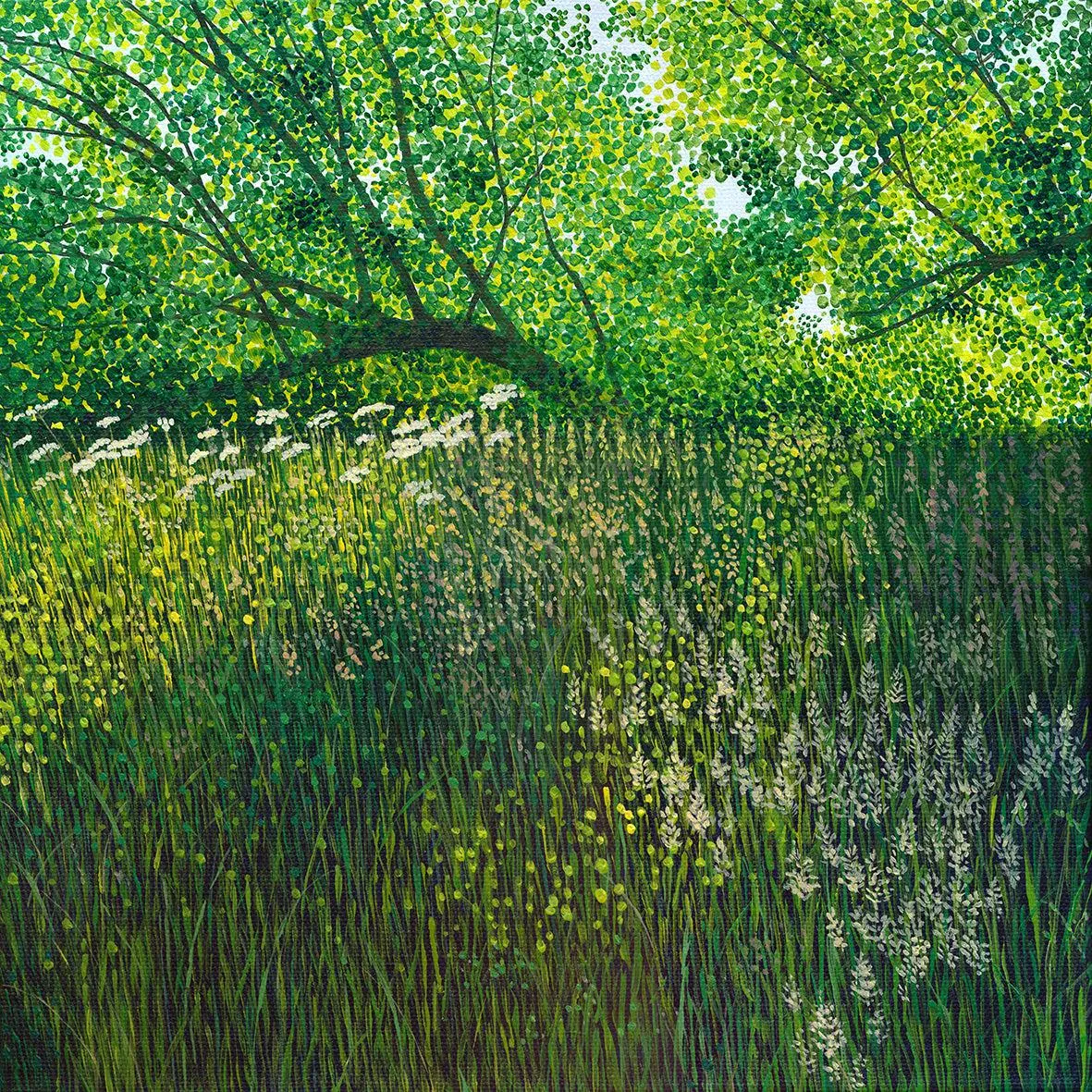 Summer Meadow